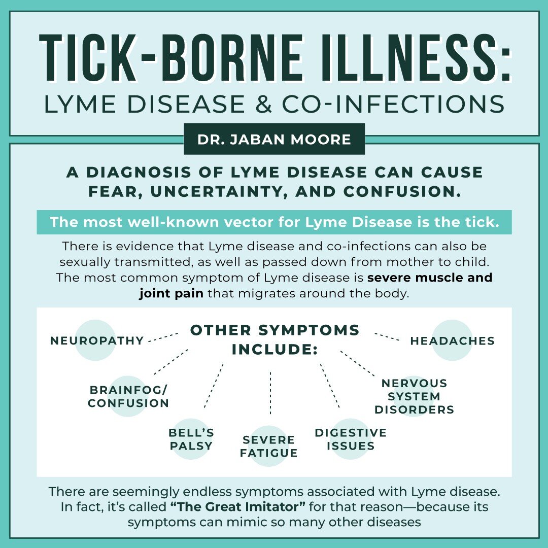 A diagnosis of Lyme disease can cause fear, uncertainty, and confusion. There isn&rsquo;t a lot of conventional information about it, and virtually no one talks about the ways to prepare your body and detox pathways prior to going after the pathogens