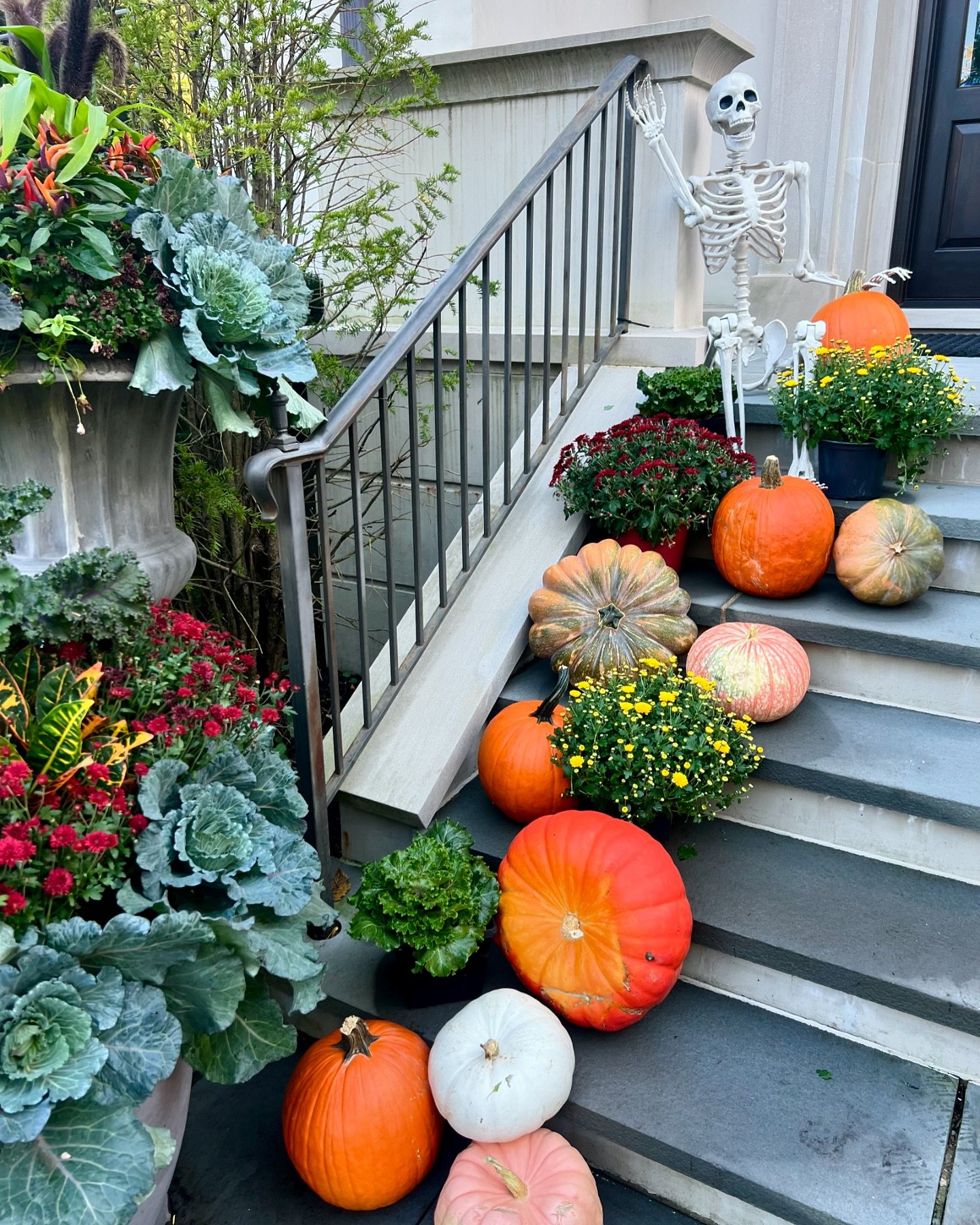 Spooky season, styled to perfection! 💀 🎃 

Mums, pumpkins, and skeletons ready to greet all the trick-or-treaters!

#halloweendecor #halloweenfrontporch #winnetka #chicagodecorator