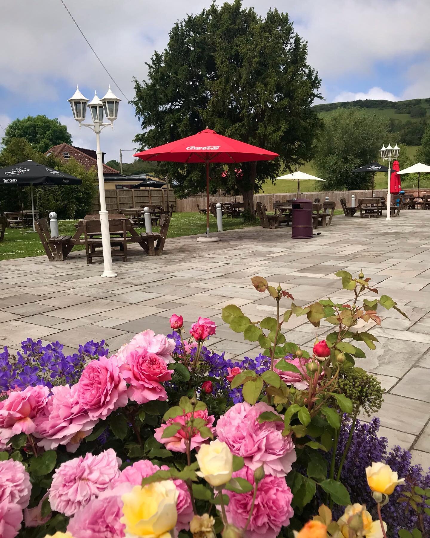 If our garden is just too hot for you, join us in our fully air conditioned dining area.  A welcome break from the heat .. 🌞🌞🥵🍽😋

#brenthousecarvery #restaurant #somerset #somersetlife #beergarden #restaurantgarden #summervibes #summer #sunshine