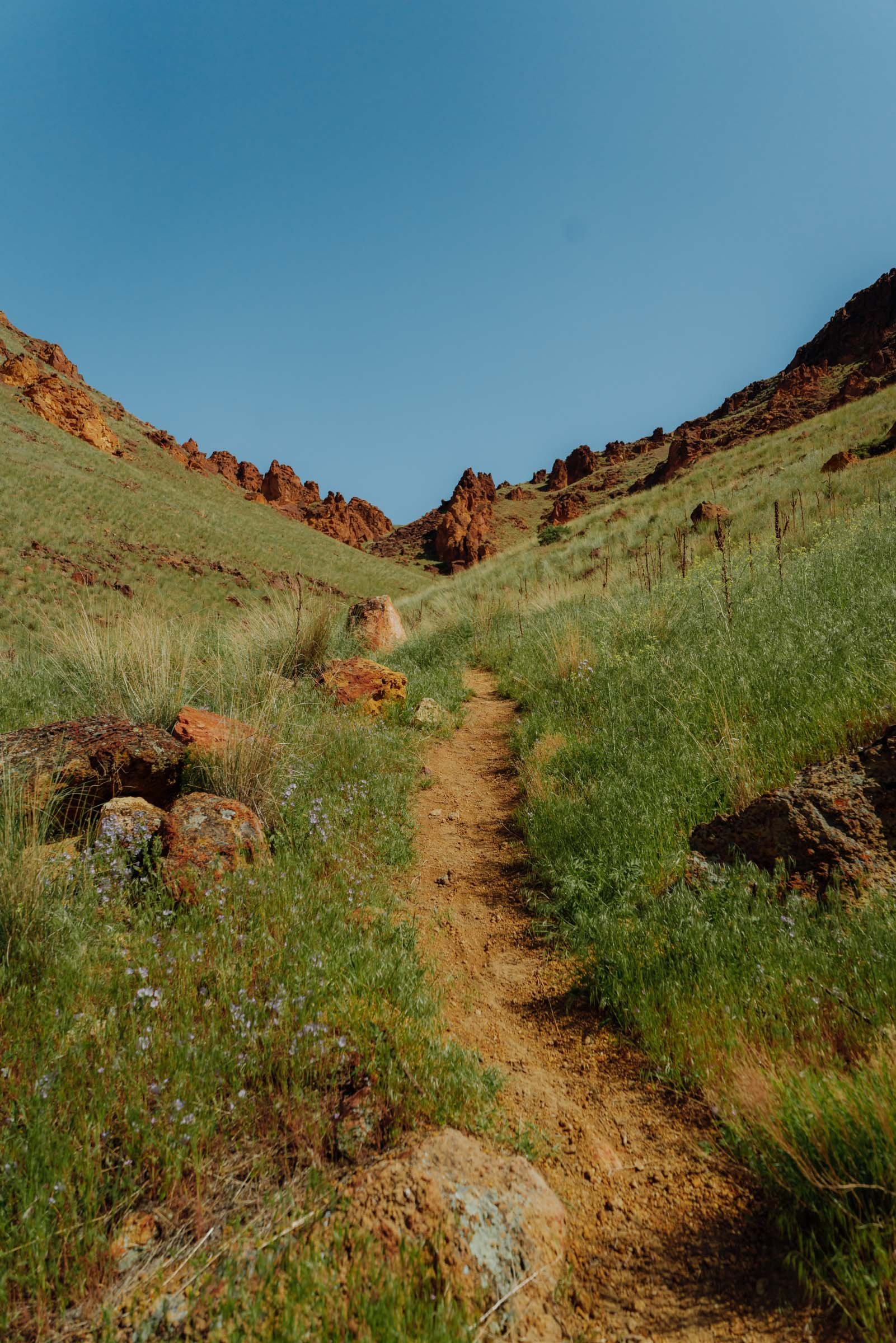 Juniper Gulch Trail at Leslie Gulch