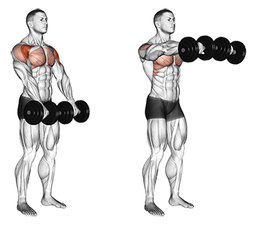 Standing%2BDumbbell%2BFront%2BRaises