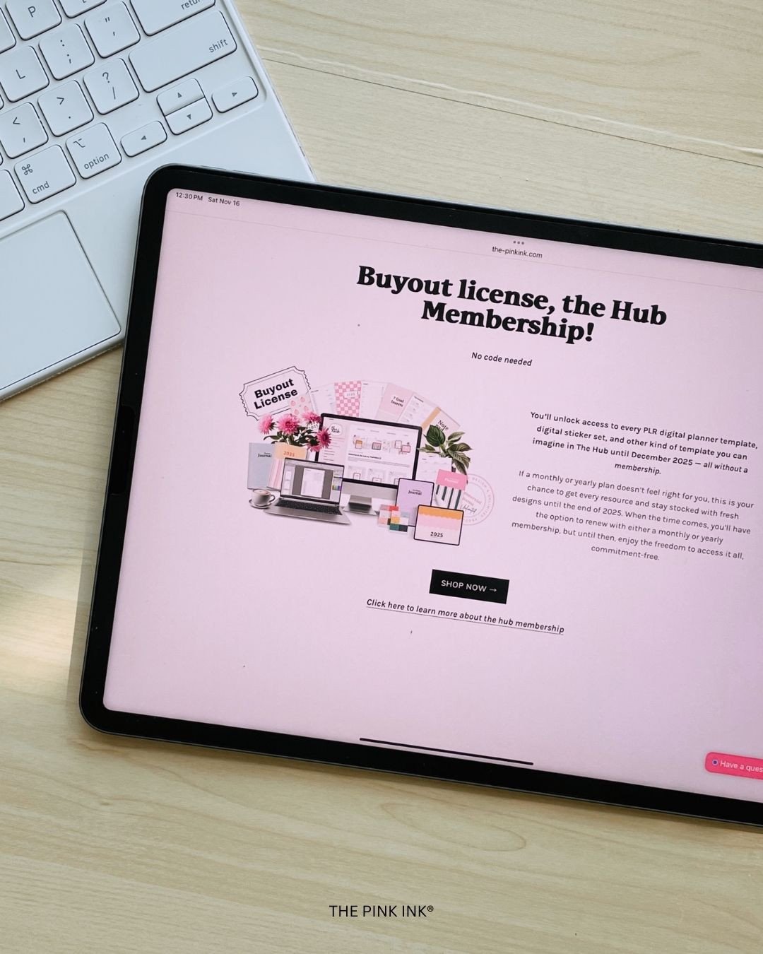 You&rsquo;ve heard about the Plannerpreneur&rsquo;s Blueprint Bundle and the 25% off sale on courses and PLR templates.⁠
⁠
Now, let me introduce the last but certainly not least Black Friday deal we have up our sleeve&hellip;⁠
⁠
✨ The Hub Buyout Lice