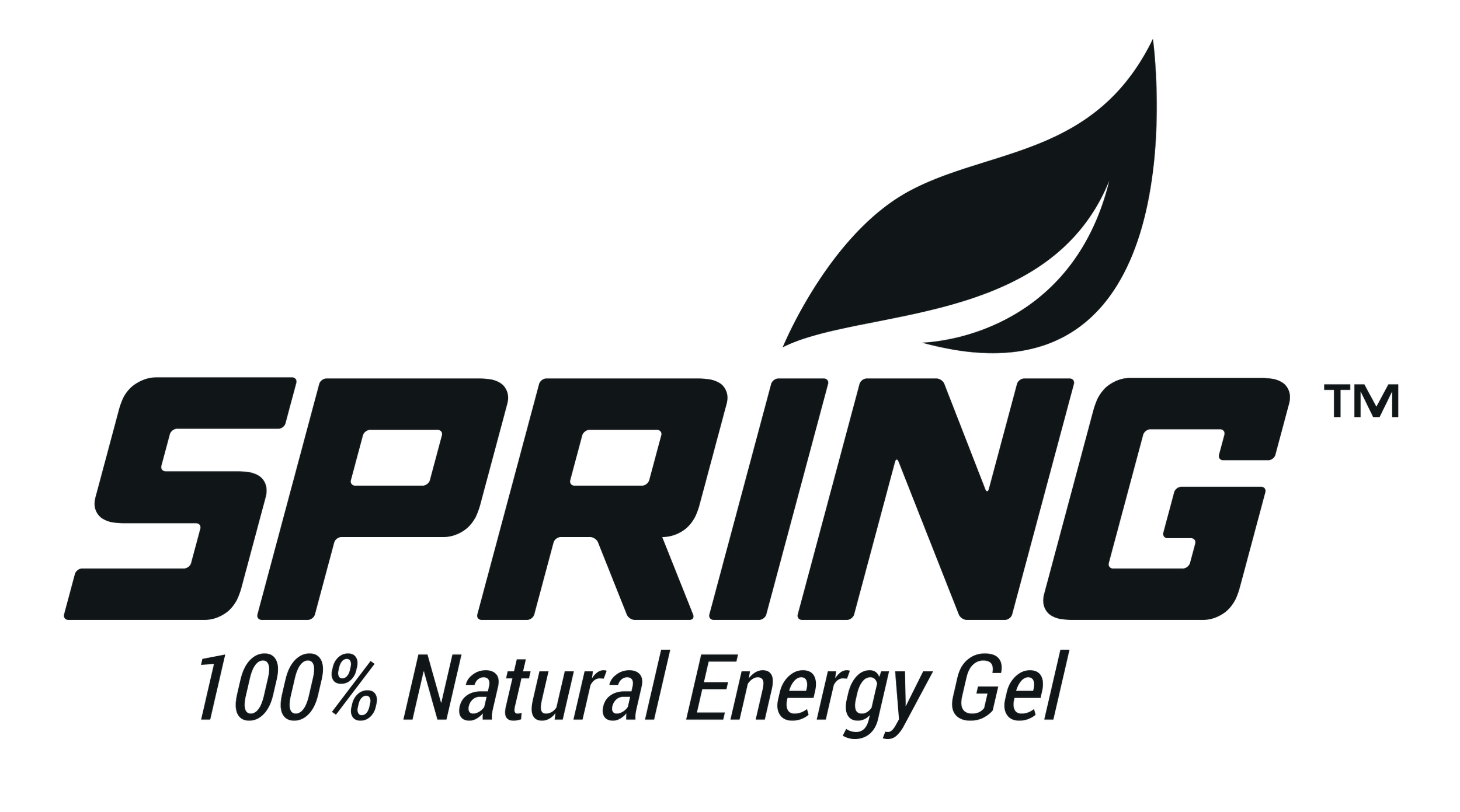 Spring_Logo_Large-Dark.png