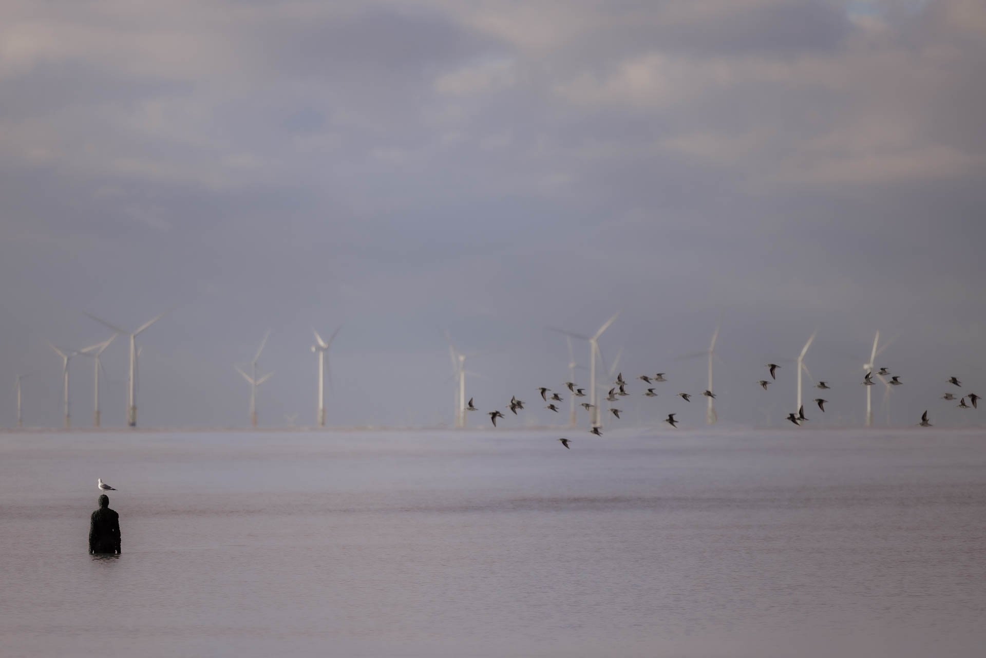 Multiply Exposing Crosby Beach.. — Janina Wilde