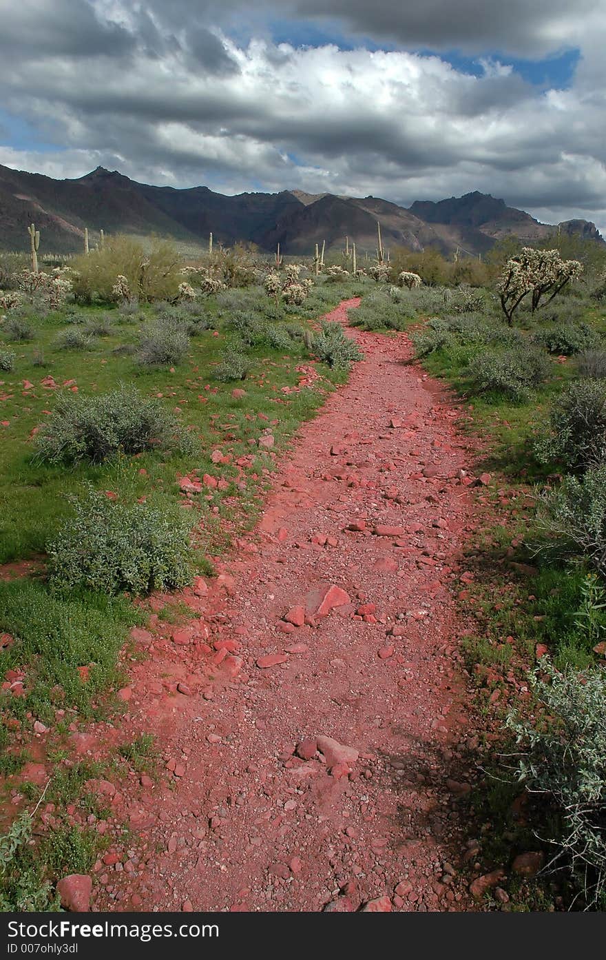 Desert Trail