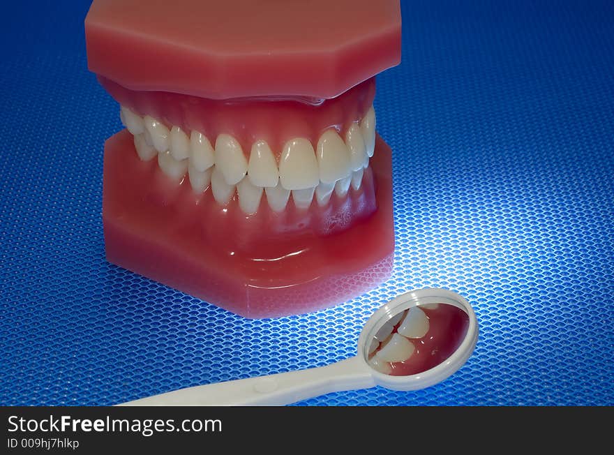 Photo of a Mouth Model and a Oral Mirror - Oral Health Related