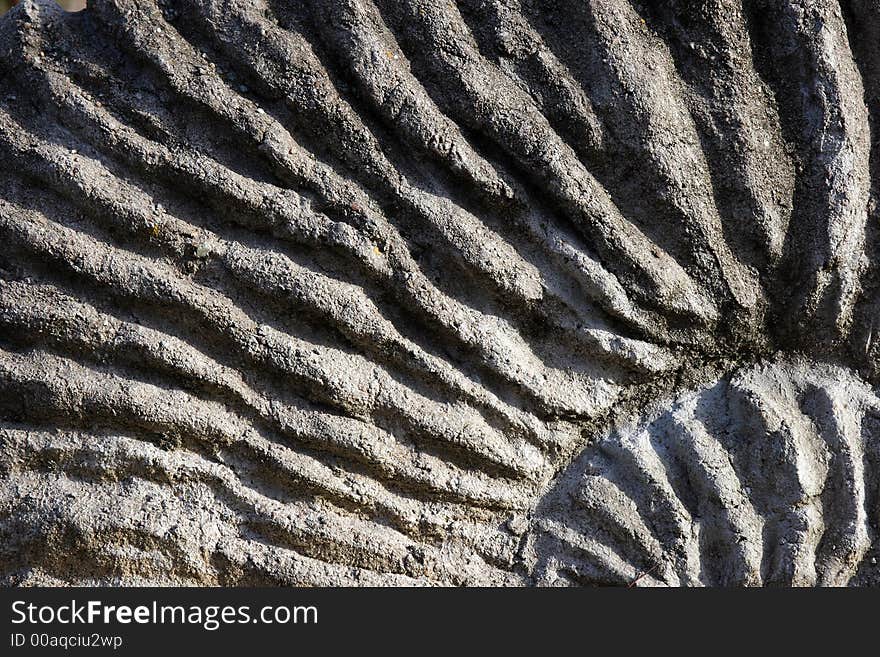 Structure of a fossilized ammonite