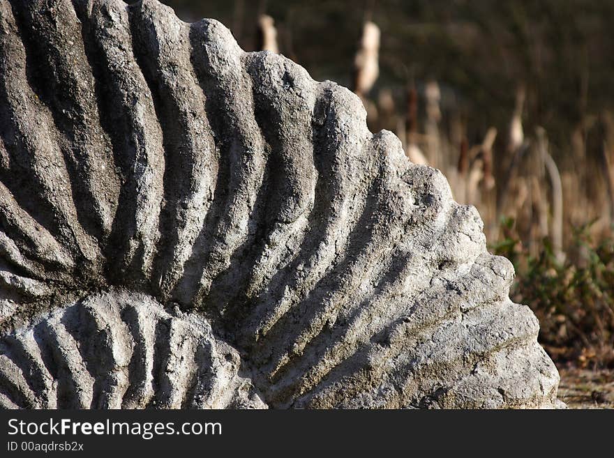 Structure of a fossilized ammonite