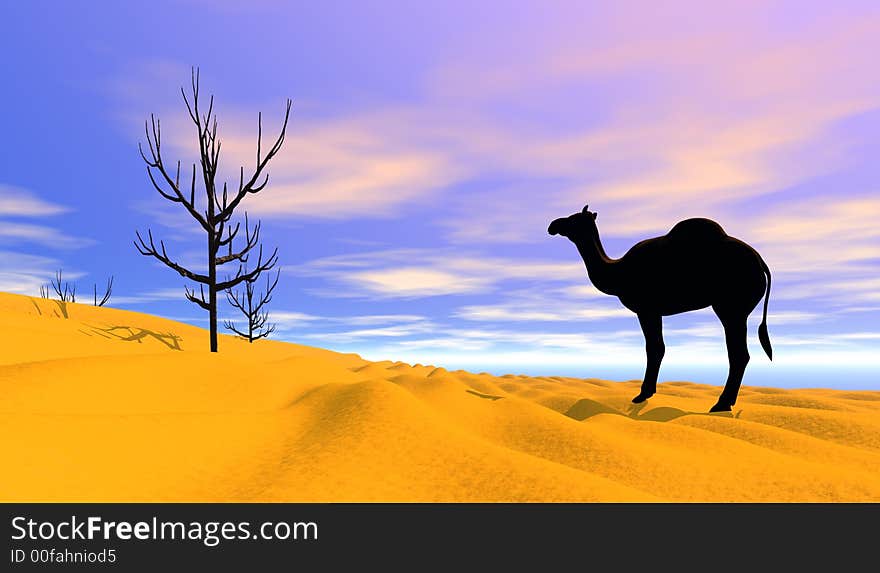 Lost in the desert - camel silhouette in the background