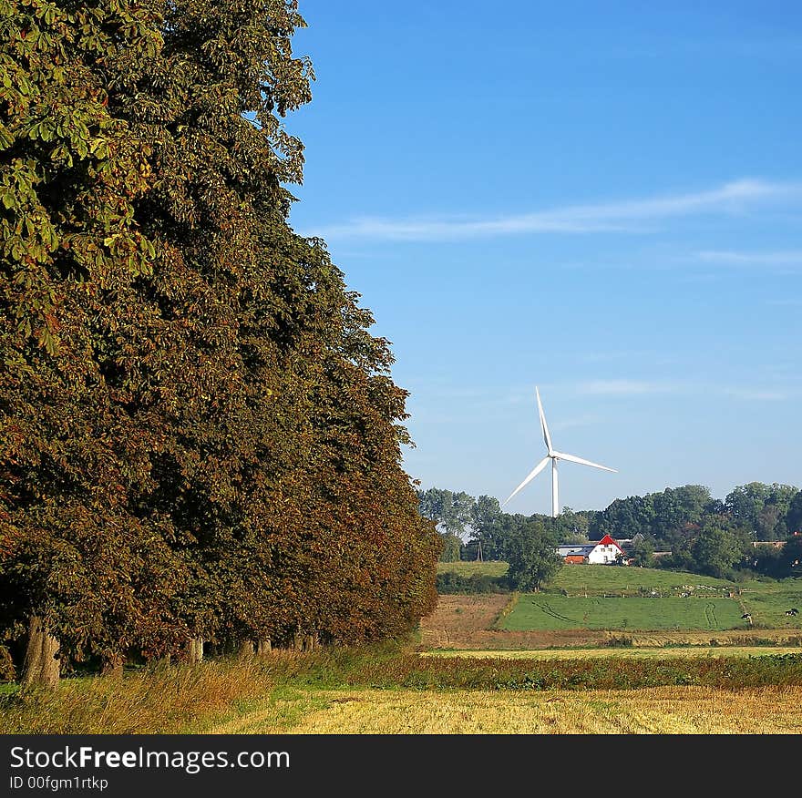 Autumn foliage on the trees, rural landscape, square format, a single wind turbine in the distance.

<a href='http://www.dreamstime.com/wind-power-with-a-difference.-rcollection4317-resi208938' STYLE='font-size:13px; text-decoration: blink; color:#FF0000'><b>WIND TURBINES WITH DIFFERENCE »</b></a>. Autumn foliage on the trees, rural landscape, square format, a single wind turbine in the distance.

<a href='http://www.dreamstime.com/wind-power-with-a-difference.-rcollection4317-resi208938' STYLE='font-size:13px; text-decoration: blink; color:#FF0000'><b>WIND TURBINES WITH DIFFERENCE »</b></a>