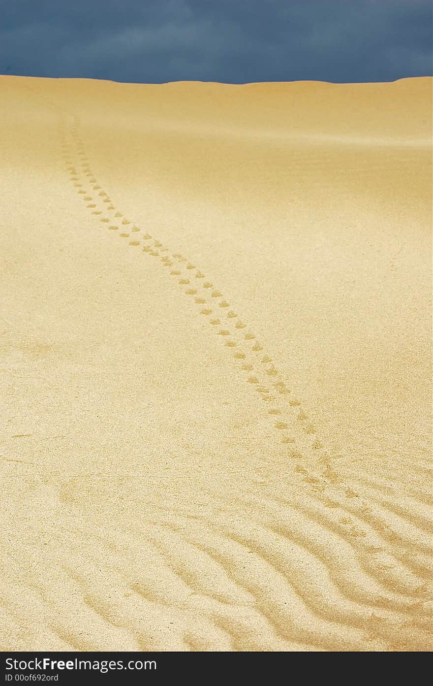 Path in the desert. Morocco.