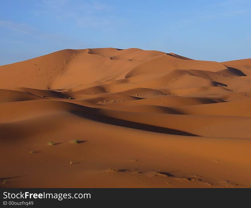 The yellow desert with blue sky