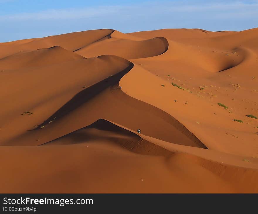 The yellow desert with blue sky