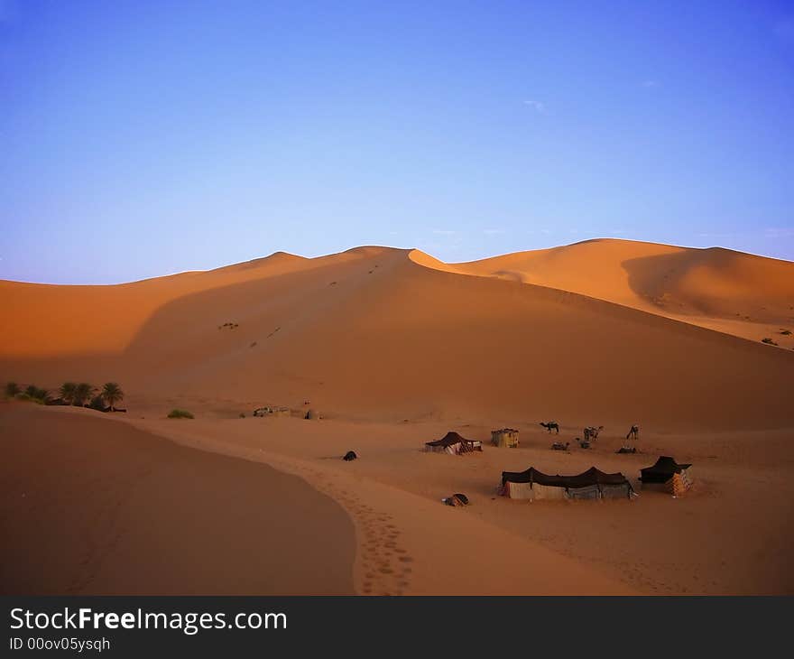 The yellow desert with blue sky