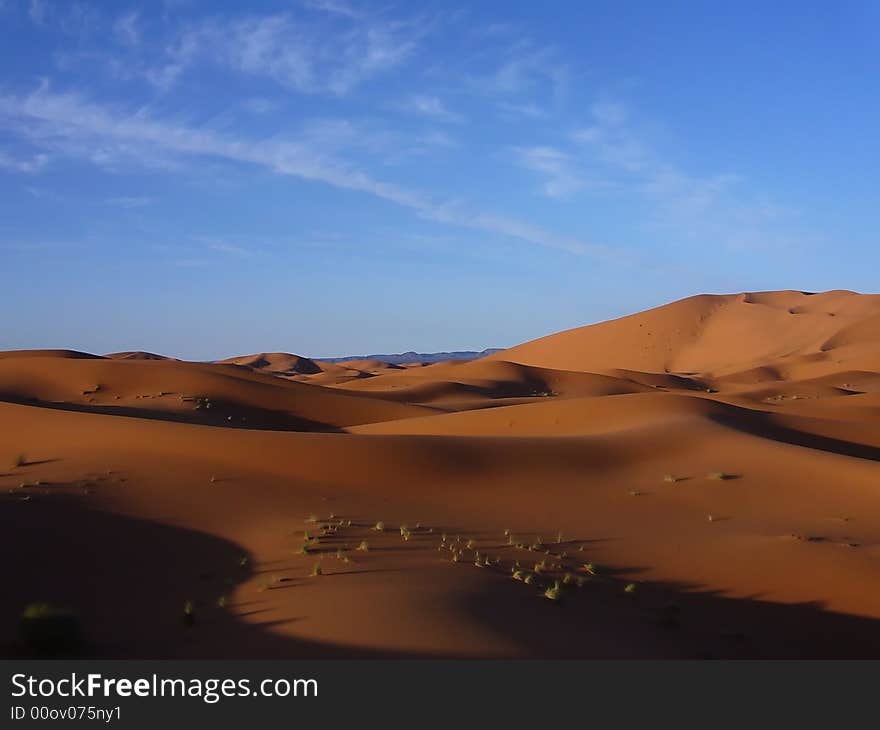 The yellow desert with blue sky