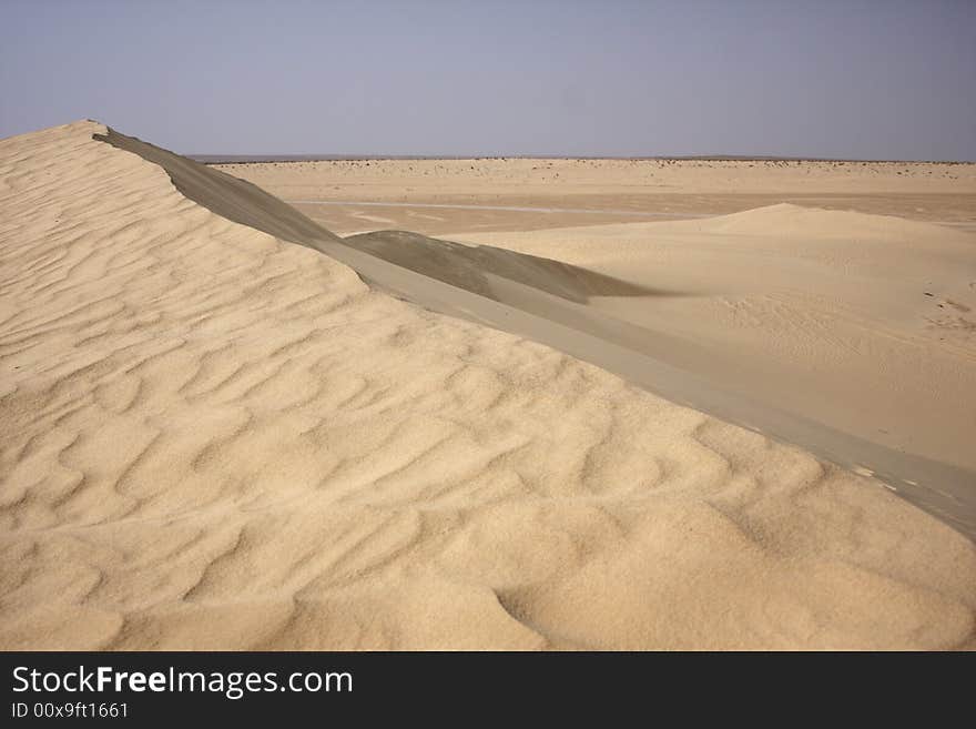 Sandy dune in Sahara desert