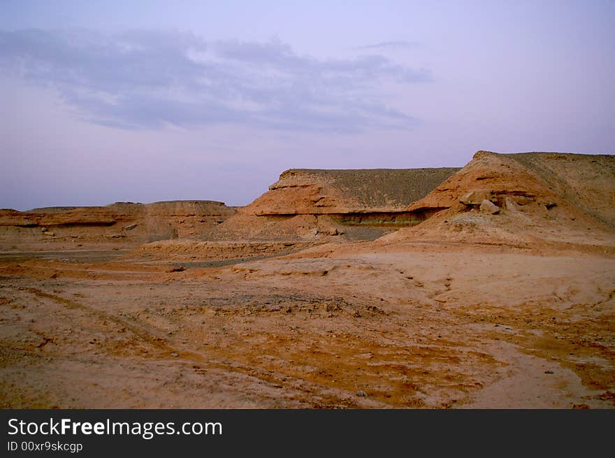 Desert landscape - a tree in Arava desert, Israel on sunrise