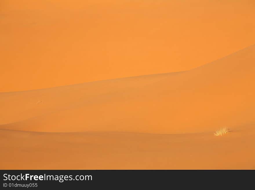 Sahara desert - magic colors during sunrise