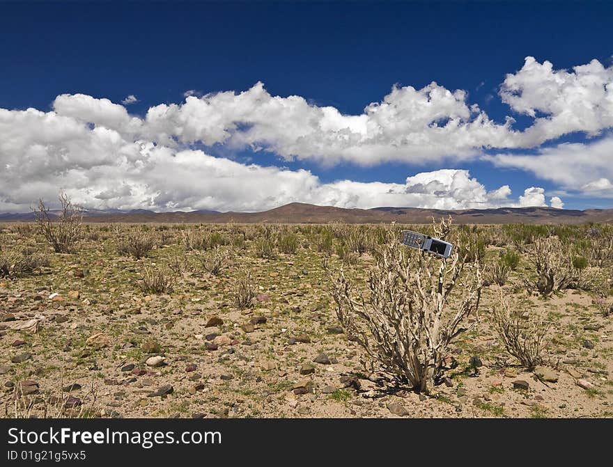 A cellphone abandoned on a dead plant in the desert. A cellphone abandoned on a dead plant in the desert.