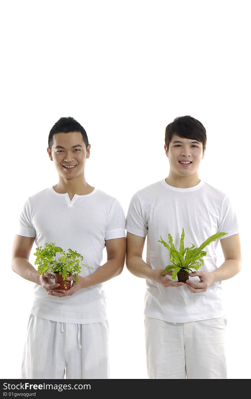 Couple asian man holding a growing plant