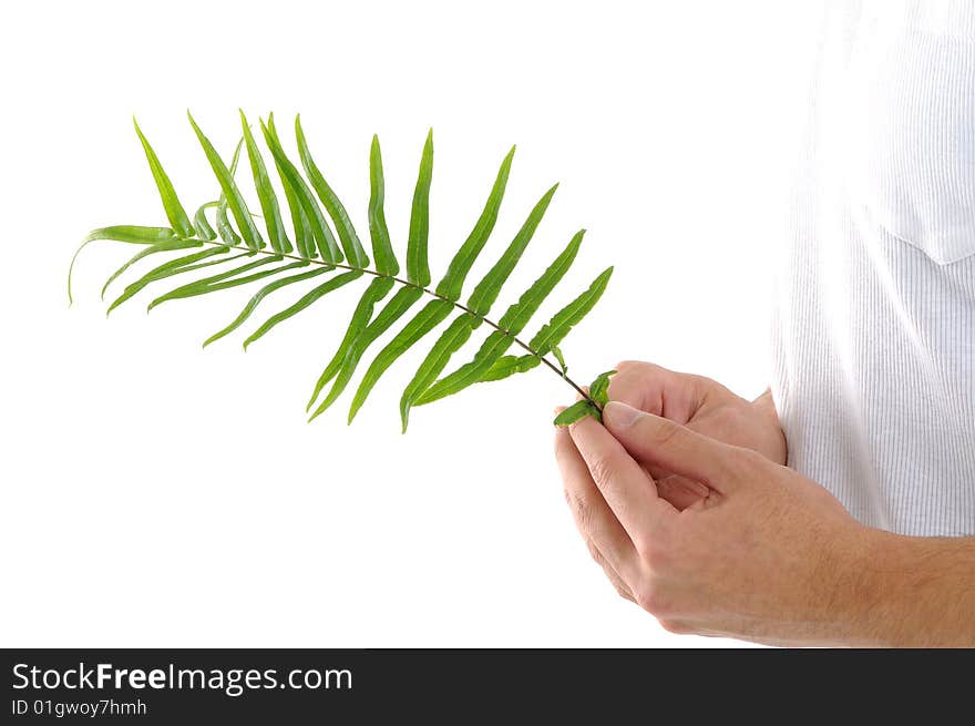 Man on holding a small plant. Man on holding a small plant