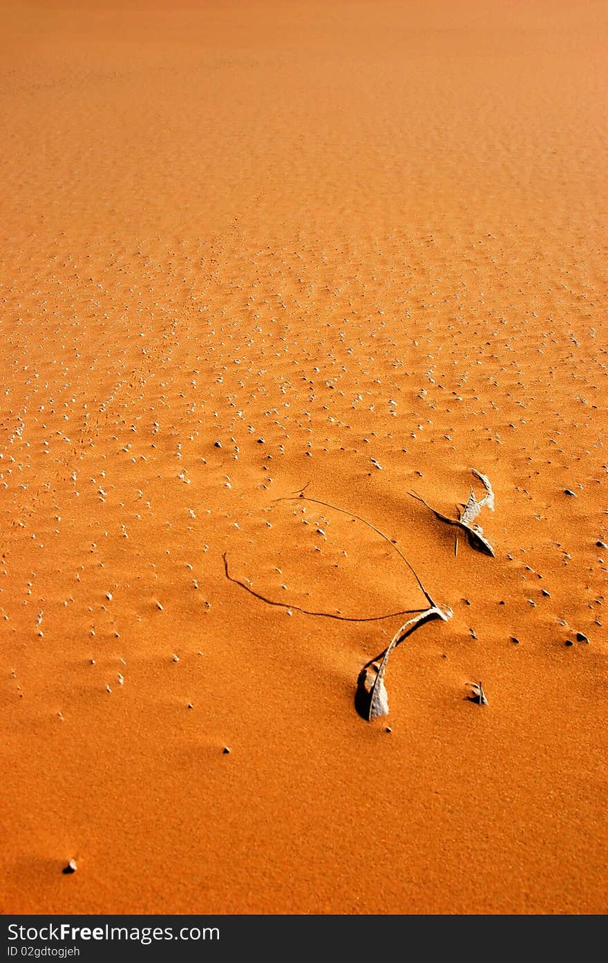 Structure of sand dune in Sahara desert. Structure of sand dune in Sahara desert