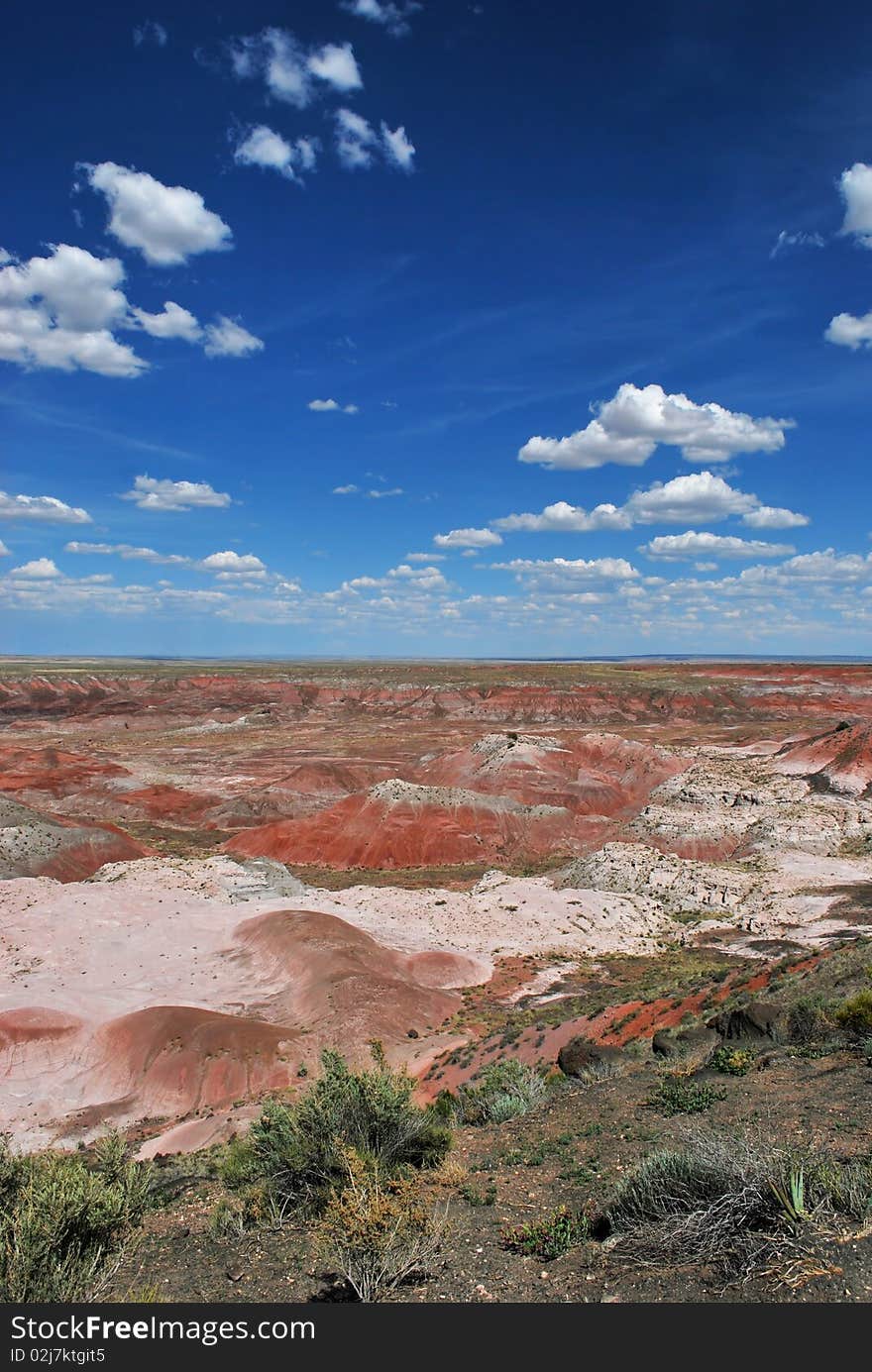 Painted Desert