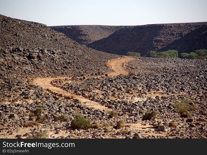 Trail in the Libyan desert