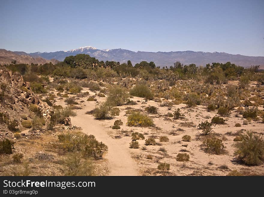 Mojave Desert