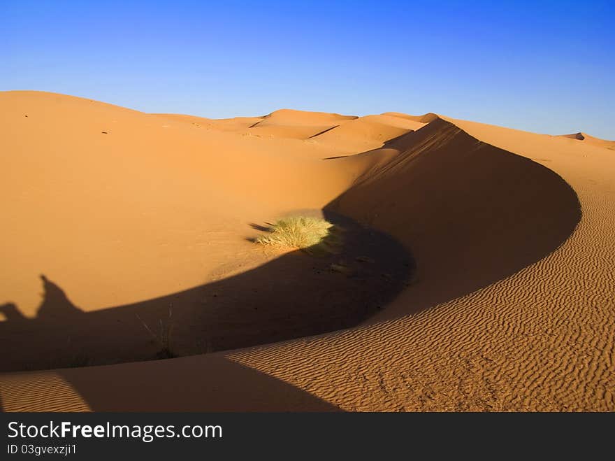 Dunes of Sahara desert in Morocco