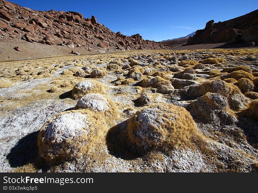 Atacama desert, Chile