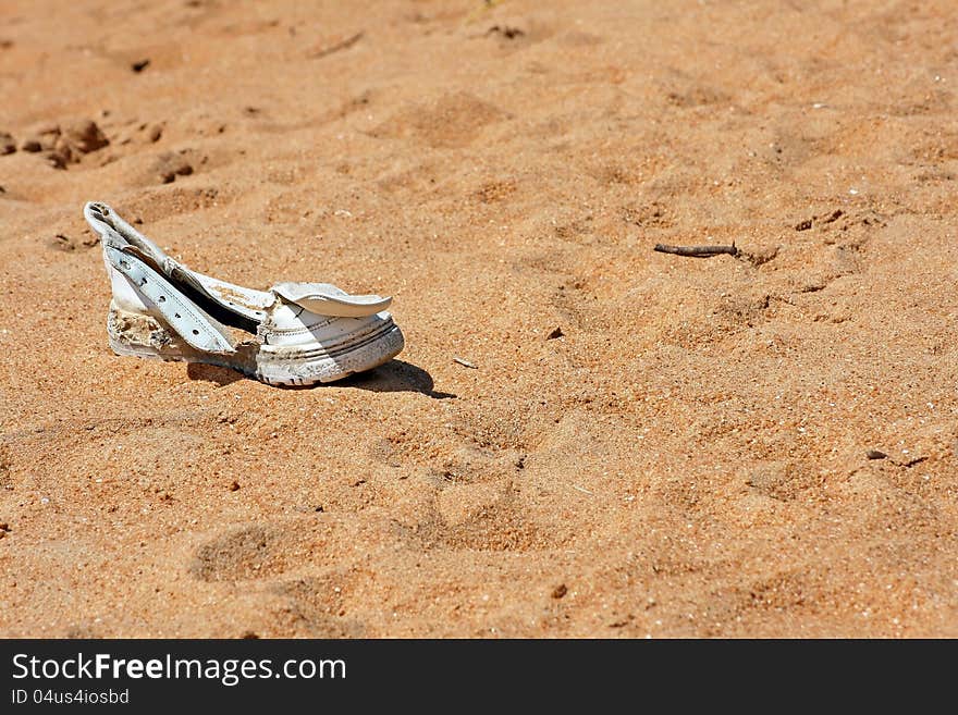 a lonesome lost shoe on the sandy beach from sri lanka