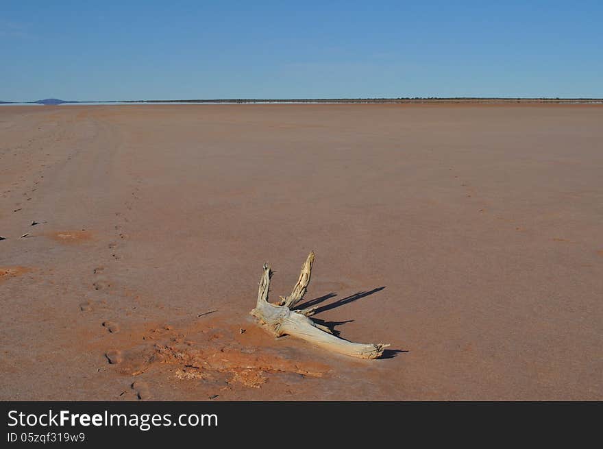 Footprints leading off into the desert on a salt lake. Footprints leading off into the desert on a salt lake