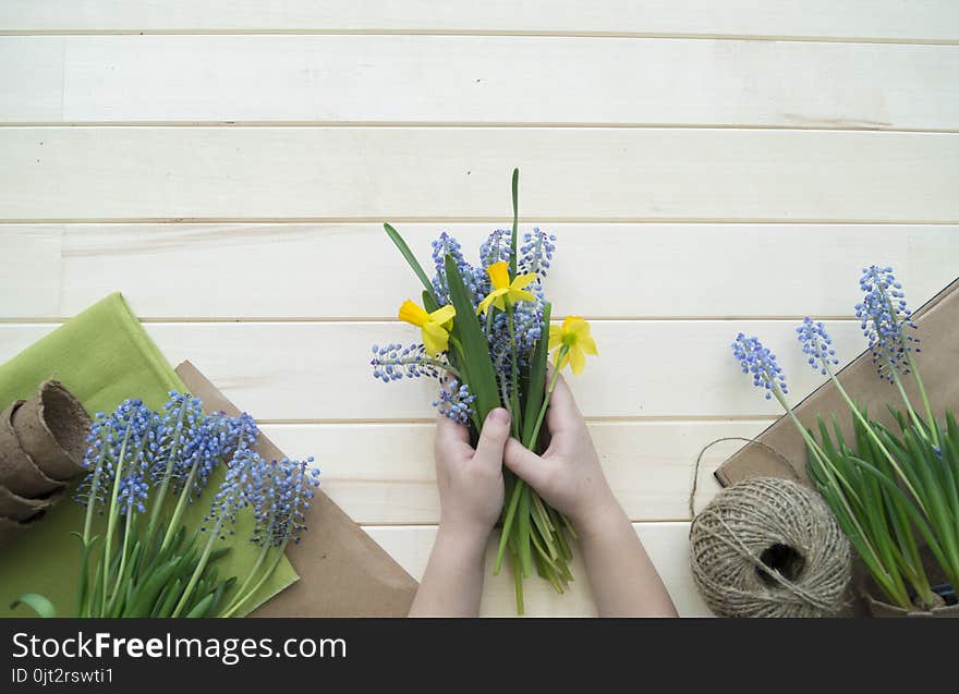 Children`s hands collect a bouquet as a gift. A gift for mom.