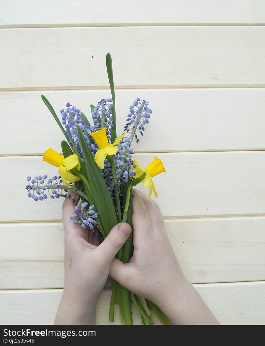 Children`s hands collect a bouquet as a gift. A gift for mom.