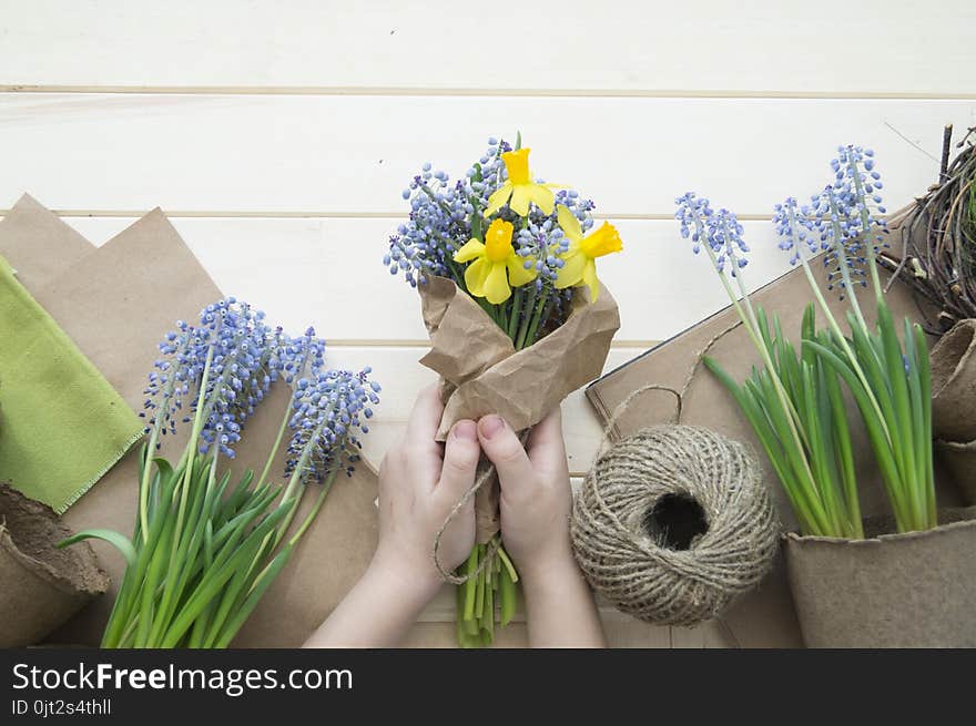 Children`s hands collect a bouquet as a gift. A gift for mom.