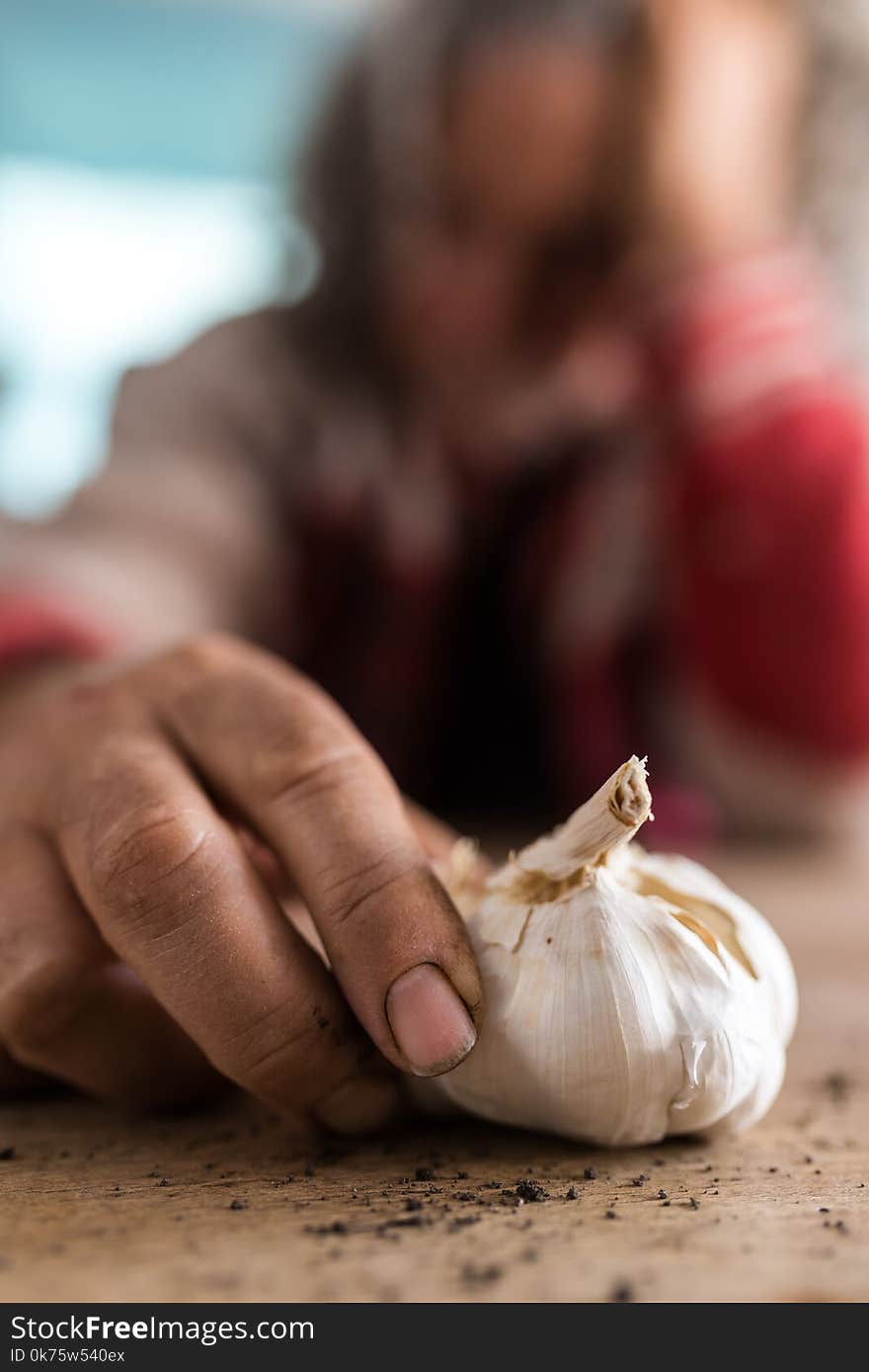 Dirty hand of a man covered in soil with a fresh bulb of garlic and scattered earth on a rustic wooden table in a close up view. Dirty hand of a man covered in soil with a fresh bulb of garlic and scattered earth on a rustic wooden table in a close up view.