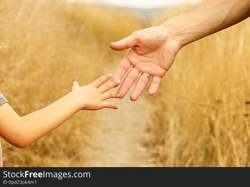 Beautiful hands of a happy child and parent in the nature park