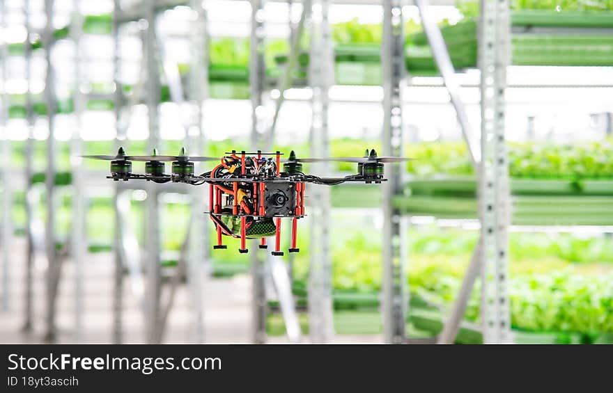 Smart drone on the farm