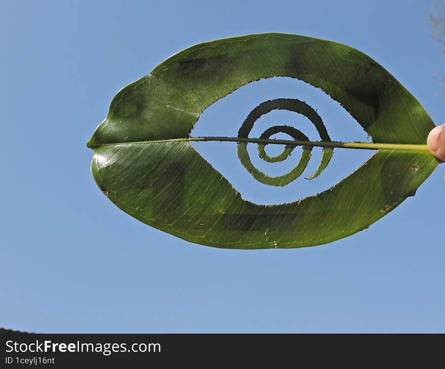 Logo art of dreamstime by leaf.