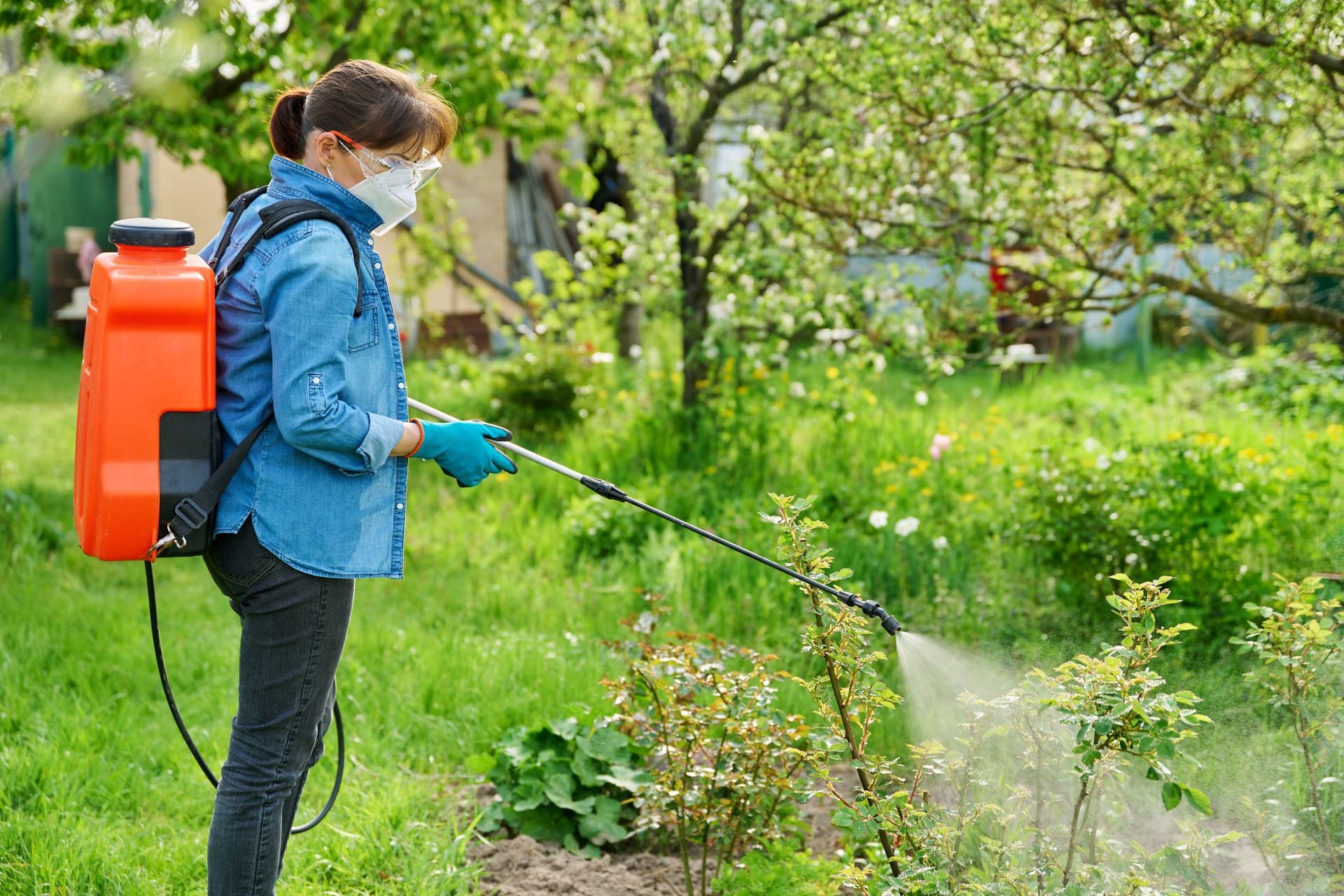 1404004393Gartenarbeit: Die Neuerungen sollen sowohl den Menschen als auch die Natur schützen.