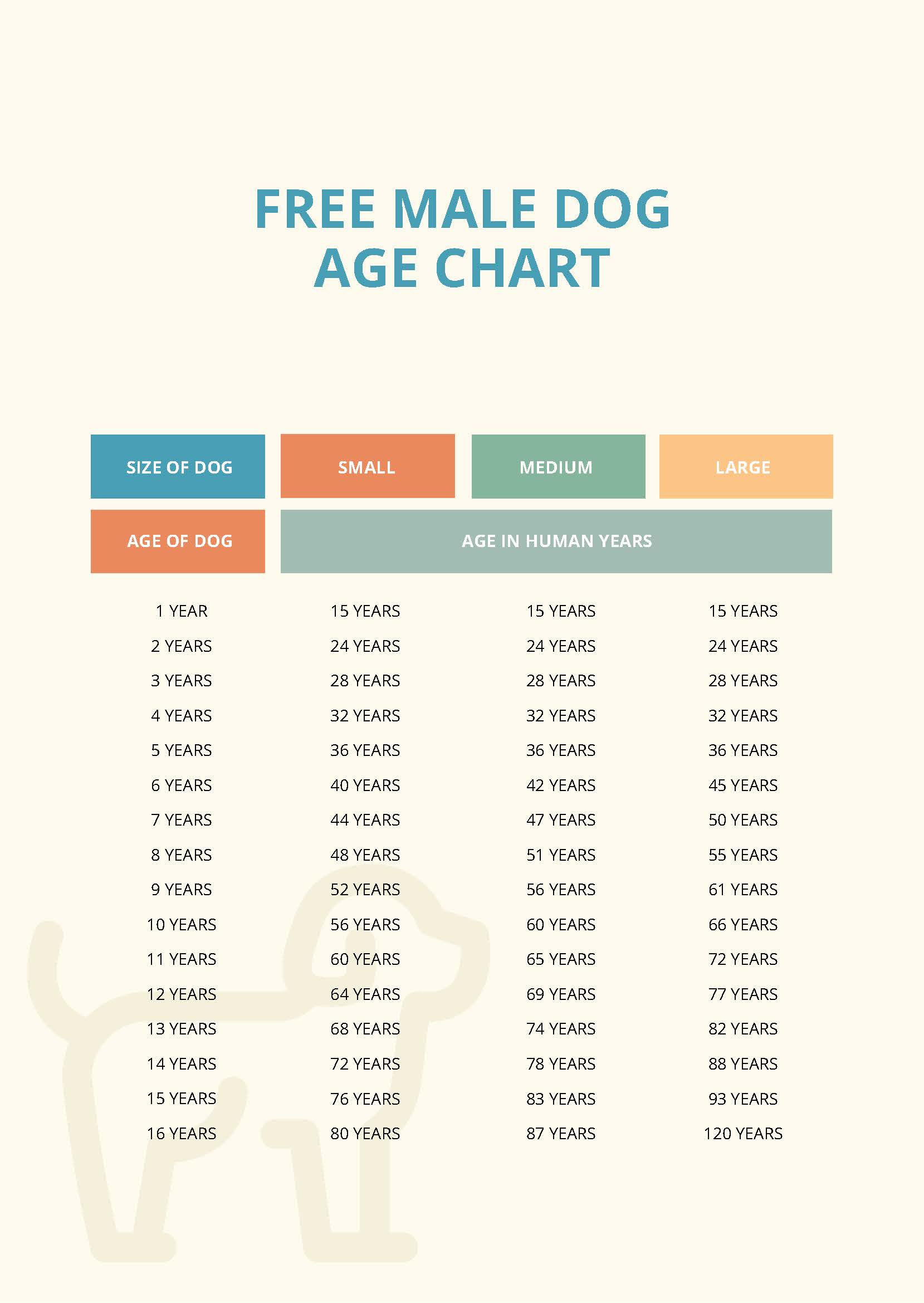 Male Dog Age Chart