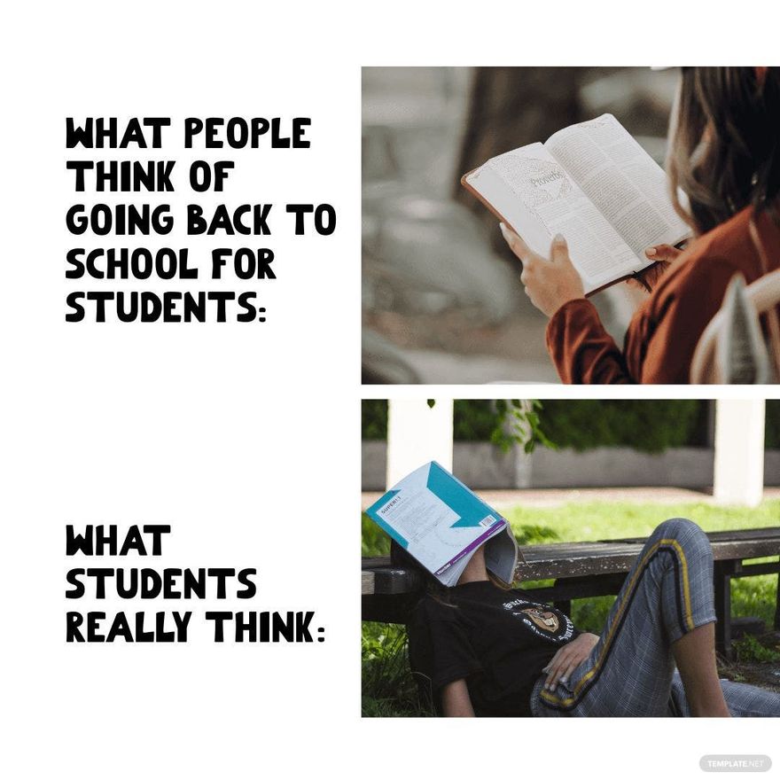 Back To School Meme For Student