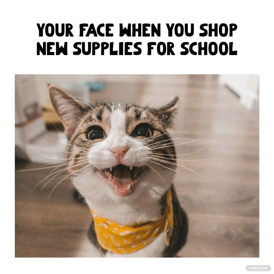 Back To School Supplies Meme