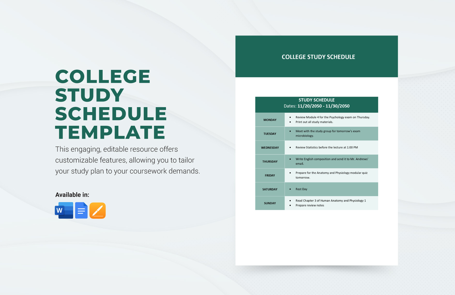 College Study Schedule Template in Word, Google Docs, Pages - Download | Template.net