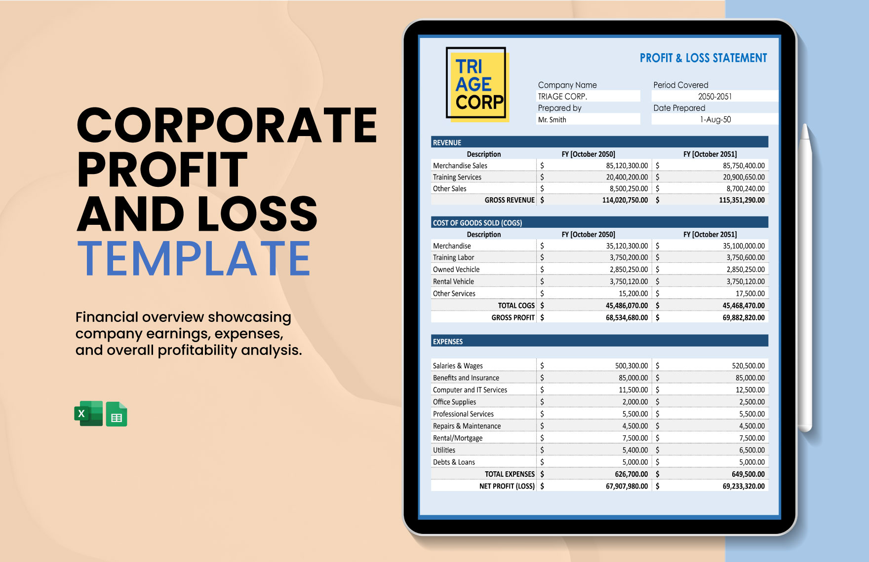 Corporate Profit And Loss Template