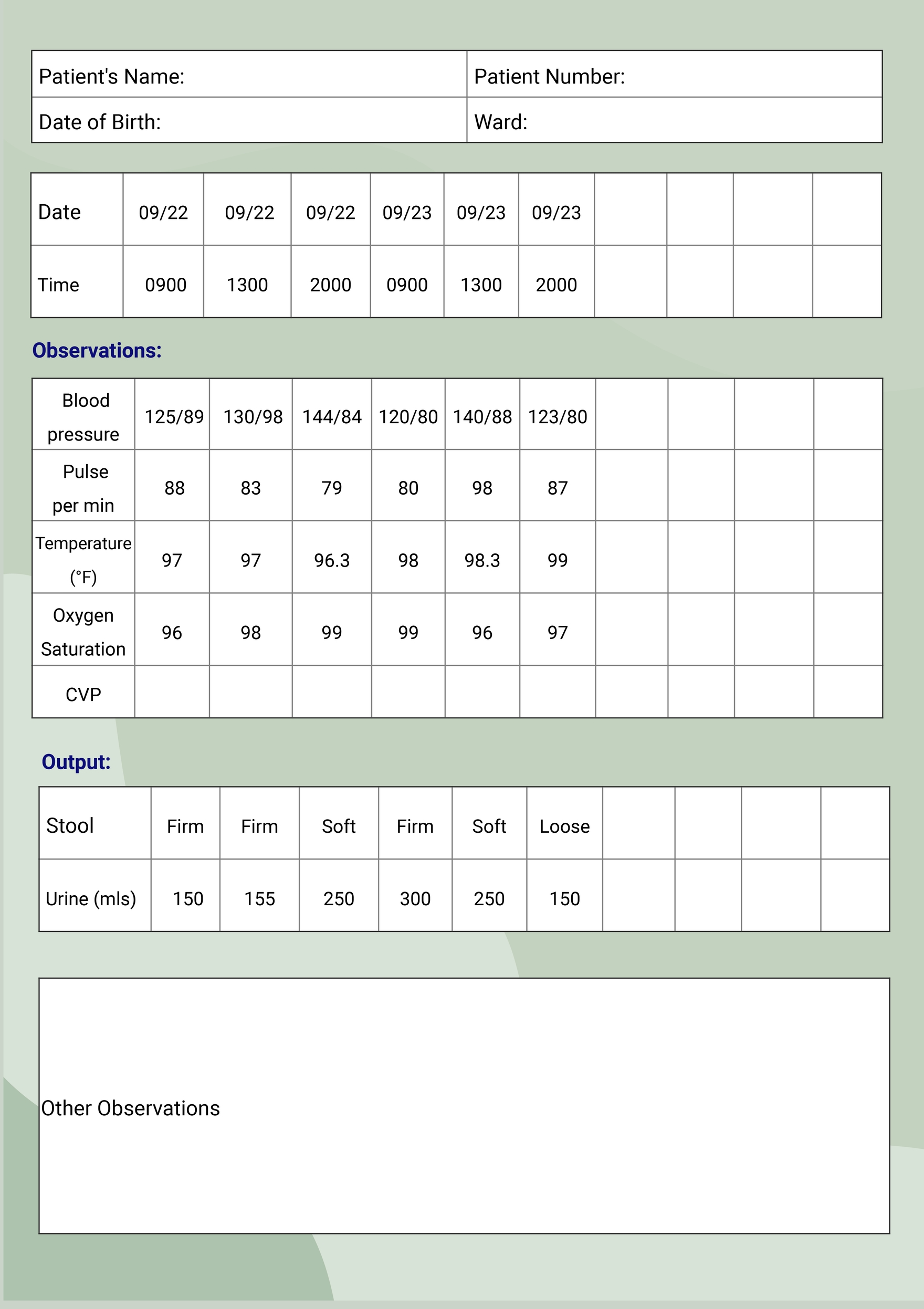 Hospital Patient Chart Template