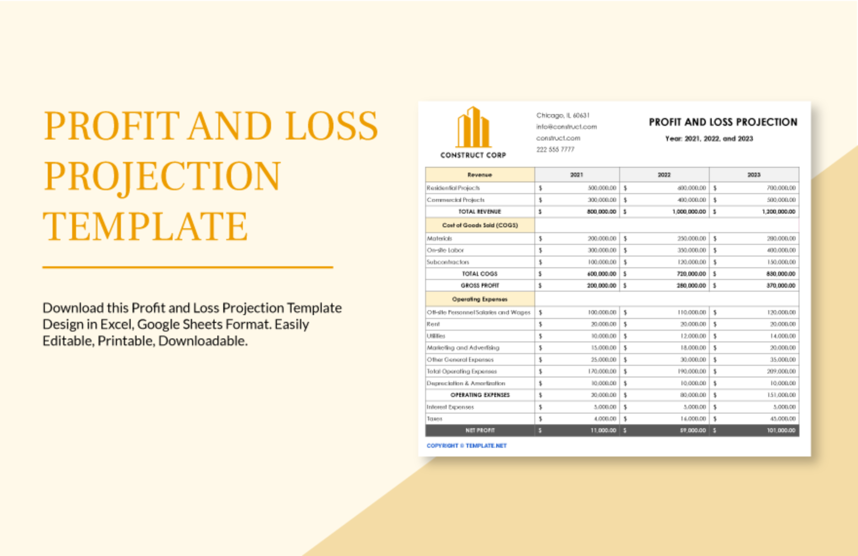 Profit  and Loss Projection Template   