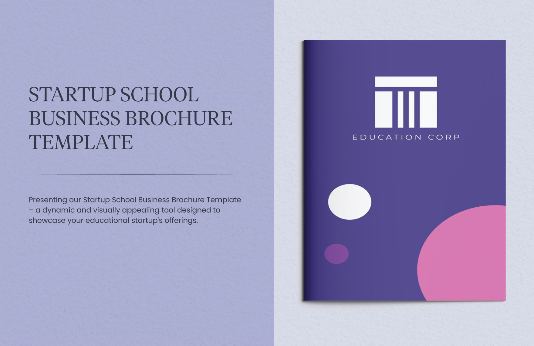 Startup School Business Brochure Template