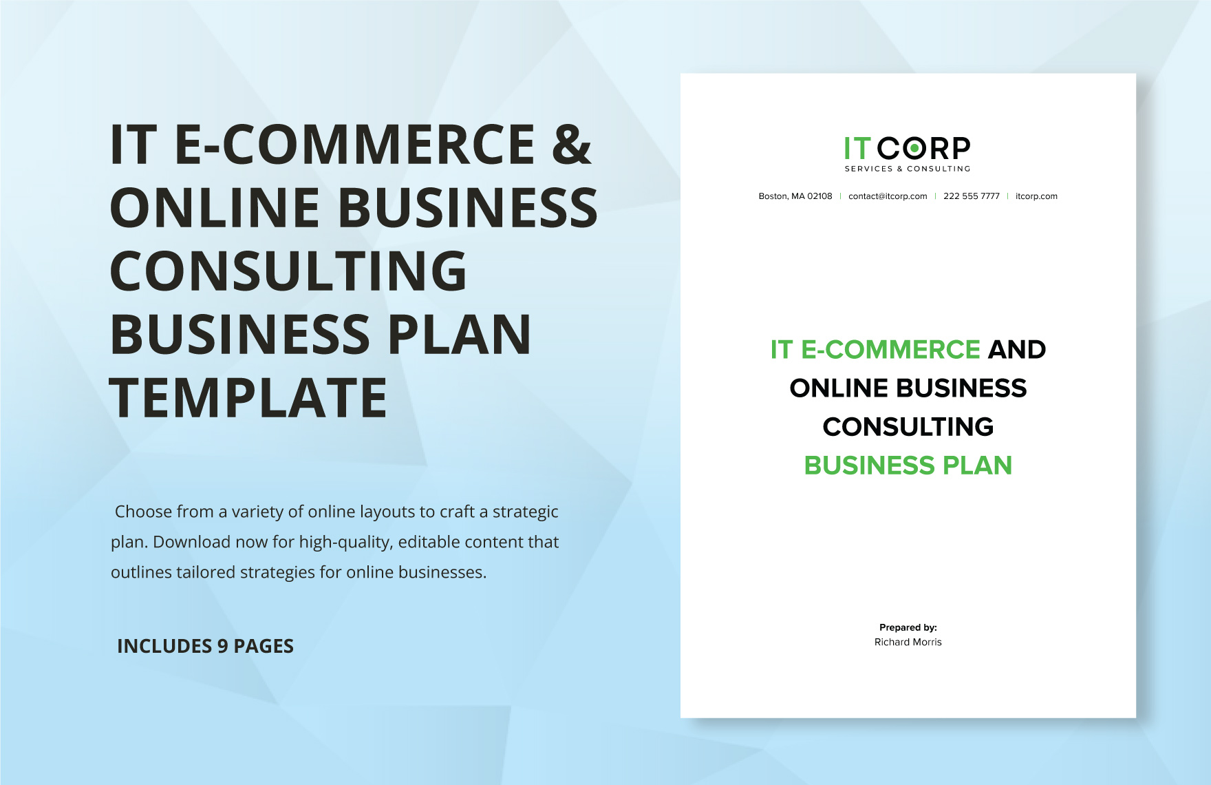 IT E-commerce & Online Business Consulting Business Plan Template